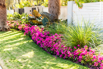 Lawn And Landscaping Services